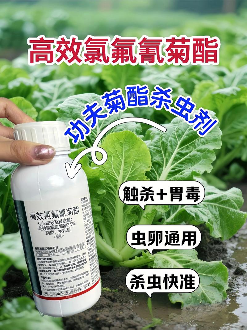 大渡口代生中心:农药对供卵代生妈妈的危害